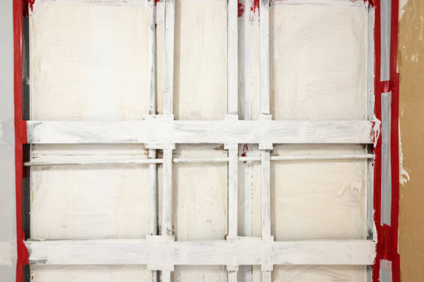 Forensic Mold Investigation in Pearland, TX