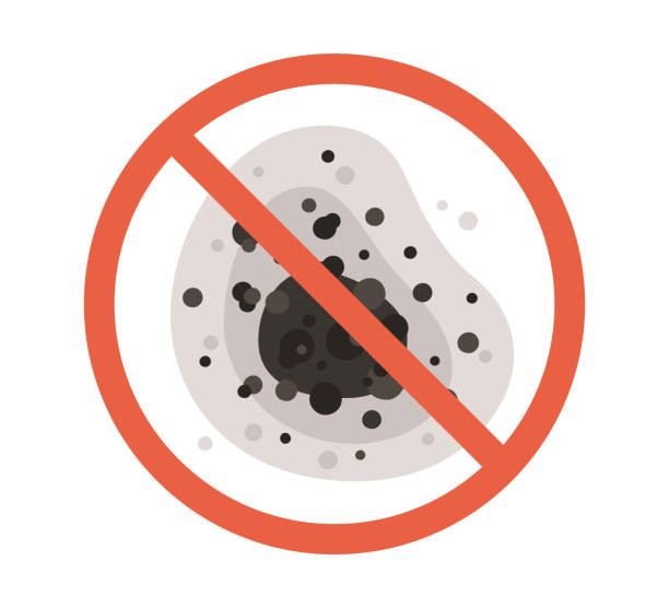 Best Mold Removal for HVAC Installations  in Pearland, TX
