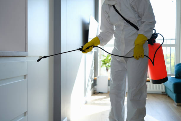 Pearland, TX Mold Removal Company