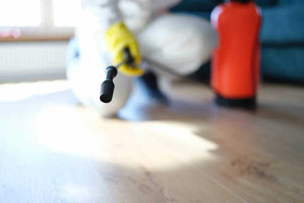 Best Mold Documentation for Insurance Claims  in Pearland, TX